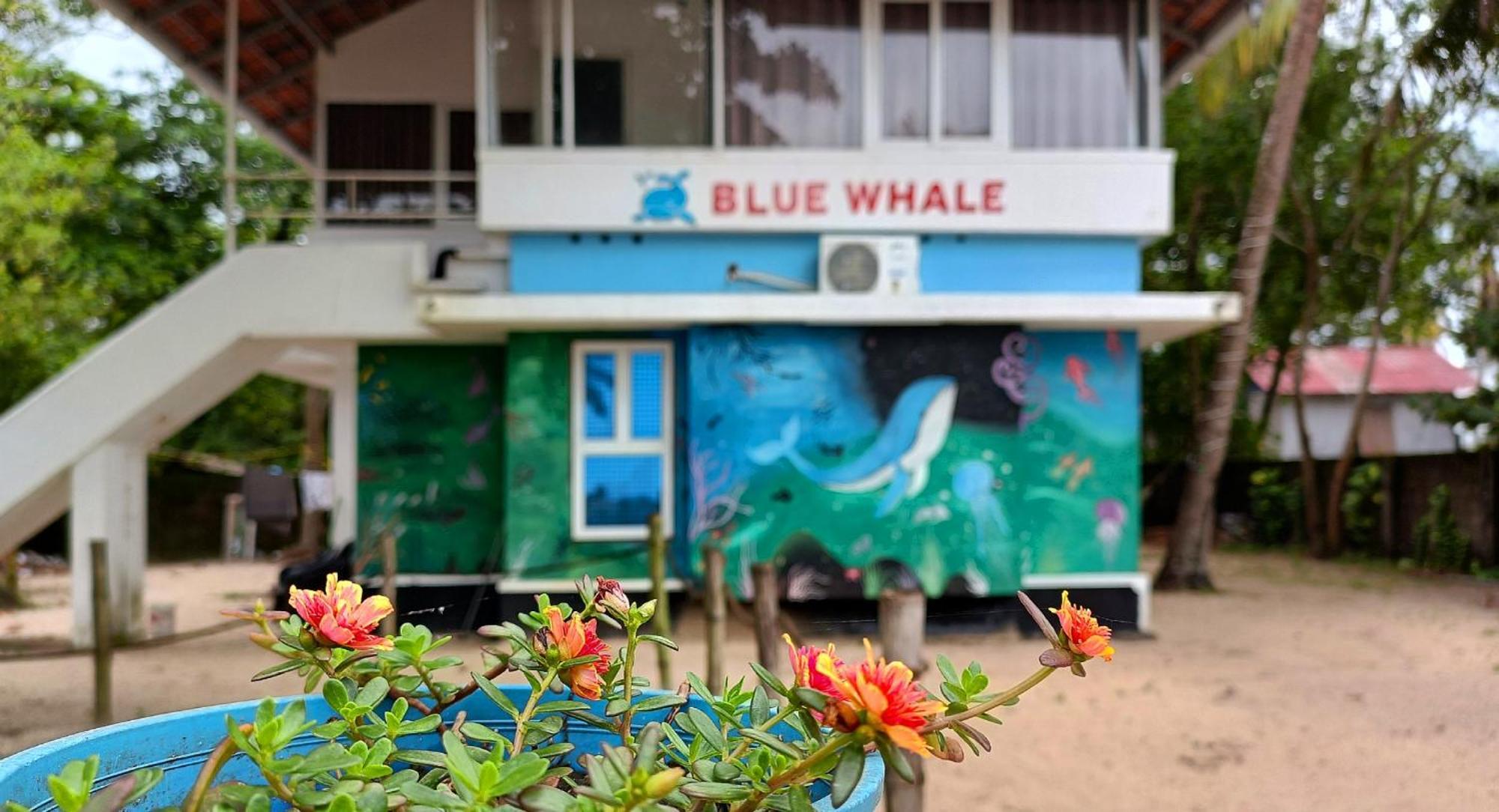 Marari Blue Whale Beach House Alappuzha 외부 사진