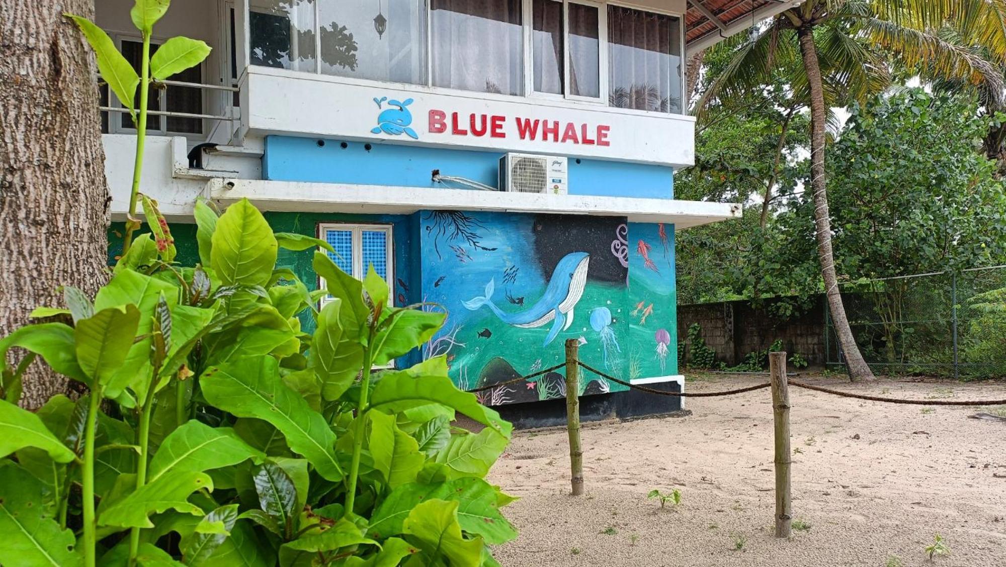 Marari Blue Whale Beach House Alappuzha 외부 사진